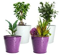 Trendi 4 Pcs Embossed Metal Plant & Garden Pots- Assorted Sizes, Indoor/outdoor Planters For Herbs/cacti/flower (White/purple)