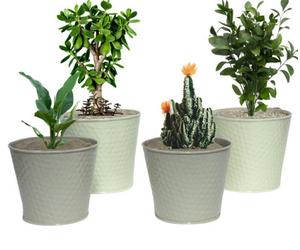 Trendi 4 Pcs Embossed Metal Plant & Garden Pots- Assorted Sizes, Indoor/outdoor Planters For Herbs/cacti/flower (Cream/grey)