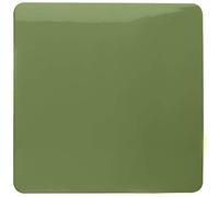 Trendi Artistic Modern Glossy Tactile Single Blanking Plate Moss Green