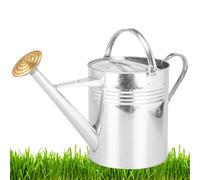Trendi® Galvanized Metal Steel Watering Can with 9L Capacity (2 Gallons) and Brass Rose Spout