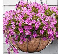 Trendi® Metal Hanging Planter Basket with Coco Coir Liner Round for Indoor Outdoor Garden Porch Decoration, 28cm (4)