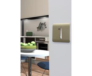 Trendiswitch Gold 45 Amp Switch With Neon