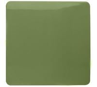 Trendiswitch Trendi Artistic Modern Glossy Tactile Single Blanking Plate Moss Green
