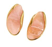 Trendy Geometric Resin Earrings For Women Stainless Steel Lightweight Ear Studs With 18K Gold Plating Stylish Jewelry Stainless Steel Geometric Earrings