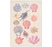 Trendy Shell Posters Pink Coastal Cowgirl Decor Vintage Beach House Seashell Wall Art Watercolor Starfish Pictures Prints Preppy College Girls Dorm Canvas Apartment Wall Decor 12x16in Unframed