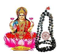 Trendy Treasures Kamal Gatta Mala Original, Lotus Mala, Original 108 Lotus Seeds Kamal Gatta Mala For Japa, Laxmi Pooja And Wearing (Dark Brown) (108 Beads, Men)