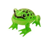 TrendyFashion Childrens Inflatable Frog Green 39 cm Blow up Toy Kids Fancy Birthday Hen Stag Do Party Decoration (Inflatable Frog 39 cm)