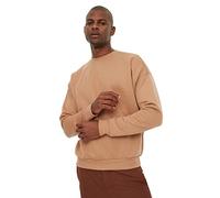 Trendyol Man Basics Regular Basic Crew neck Knit Sweatshirt Beige