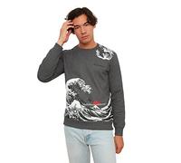 Trendyol Men's Crew Neck Plain Regular Sweatshirt, Gray, S UK