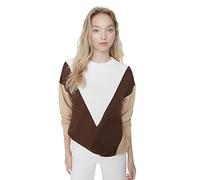 Trendyol Women Fitted Basic Crew neck Knit Sweatshirt Brown