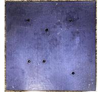Trent Reznor & Atticus Ross - Bird Box (4 LP Box Set) (180g)