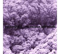 Trentemøller Into the Great Wide Yonder (Vinyl) 12" Album