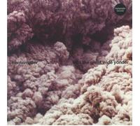 Trentemøller Into the Great Wide Yonder (Vinyl) 12" Album