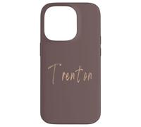 Trenton New Jersey Vintage elegant design Case for iPhone 14 Pro