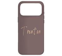 Trenton New Jersey Vintage elegant design Case for iPhone 17 Pro Max