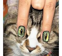 TRENTSNOOK 24pcs Cat's Eye Gel Fake Nail Art, Grey, white translucent or green Acrylic press on nails, Everyday life, parties, dances, dates can be any combination of beautiful fingertip ornaments(XA-