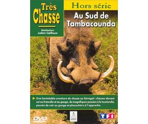 Très chasse : Au sud de Tambacounda