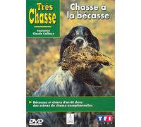 Très chasse : Chasse à la Bécasse
