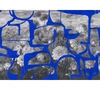 Tres Tintas Mural Prehistoric Flowers Mural M5005-1