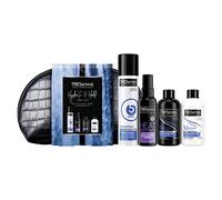 Tresemmé Hydrate & Hold Gift Set - 4 Travel-Size Haircare for On-the-Go Glam (Shampoo, Conditioner, Heat Defence, Freeze Hold) CD2-1773