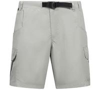 Trespass Mens Adventure Shorts Seumas Greystone in Size - M