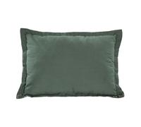 Trespass Travel Pillow Packaway