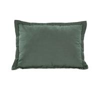 Trespass Travel Pillow Packaway