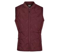 Trespass Womens/Ladies Miran Hybrid Active Gilet (Mulberry) - Purple - Size Small