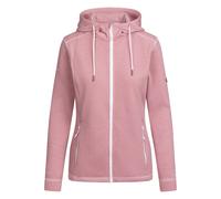Trespass Womens/Ladies Rootless Stripe Marl AT200 Fleece Jac TP5789