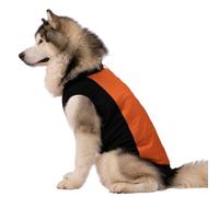 Trespaws Dog Jacket Beedle