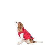 Trespaws Down Dog Jacket Dogby Red XS