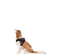 Trespaws Pet Harness Lola