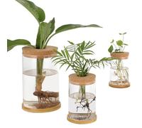 Tressify 3PCS Glass Plant Propagation Vases with Bamboo Saucer, Desktop Hydroponic Planters