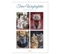 Treue Wegbegleiter (Wandkalender 2026 DIN A4 hoch), CALVENDO Monatskalender: Dieser liebevoll gestaltete Kalender zeigt die eleganten und charmanten Britisch Kurzhaar Katzen in ihrer vollen Pracht.