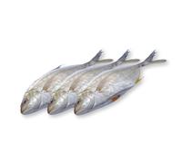 Trevally Box 4kg | Fish and Seafood Seasoning Set Included