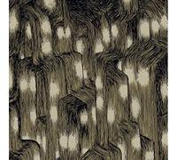 Trevor De Brauw - Uptown