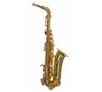 Trevor James Alphasax Alto Sax Outfit - Gold Lacquer