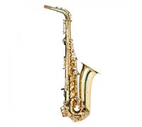 Trevor James AlphaSax Alto Saxophone Outfit Gold Lacquer