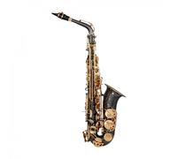Trevor James EVO Alto Saxophone Black & Gold