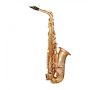 Trevor James EVO Alto Saxophone Gold Frost