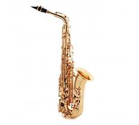 Trevor James EVO Alto Saxophone Gold Lacquer