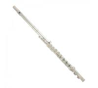 Trevor James Performer Alto Flute Straight and Curved Voce Head Silver Lip Rise