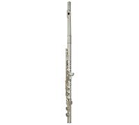Trevor James Privilege Flute Outfit - Straight Head. CT Trad Lip.