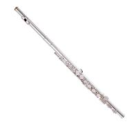 Trevor James Privilege Flute Traditional Silver Lip Plate