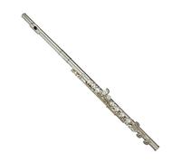 Trevor James Privilege Flute Outfit - Straight Head. CT Trad Lip.
