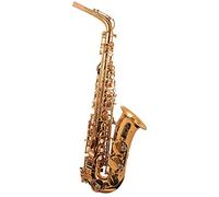 Trevor James The Horn Alto Saxophone Gold Lacquer