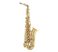 Trevor James Signature Custom Alto Saxophone Gold Lacquer