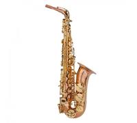 Trevor James Signature Custom Alto Saxophone Phosphor Bronze