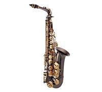 Trevor James SR Alto Saxophone Black Lacquer with Gold Lacquer Keys