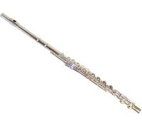 Trevor James TJ10x 3041EAW with extra Wooden Headjoint Crown